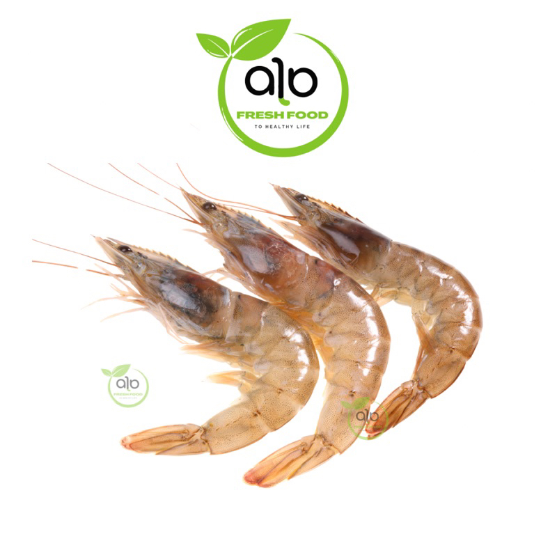 

Udang Peci Ukuran Sedang Segar 250gr - 1kg / Udang Segar | Sayur online - ALO Fresh Food