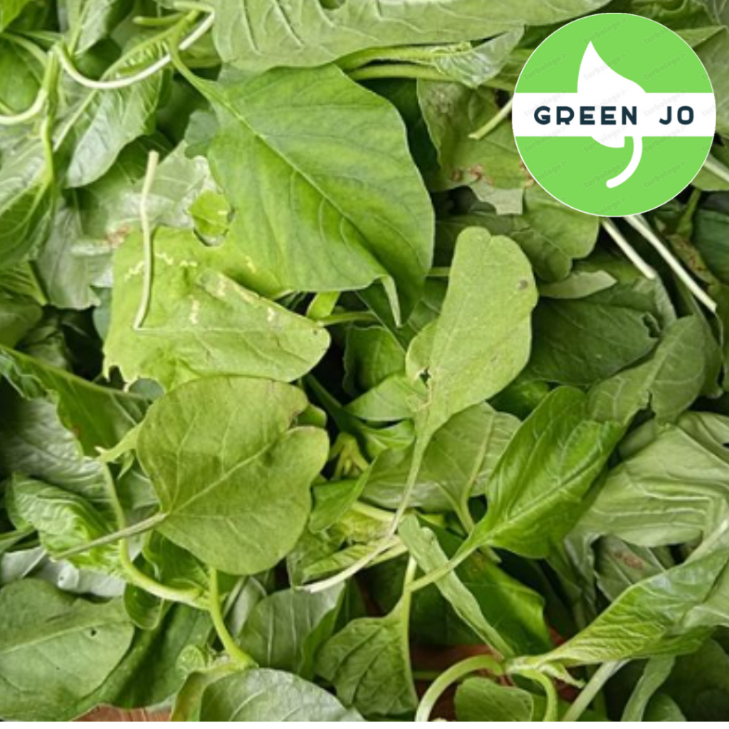 

Daun Bayam Sayuran satu ikat