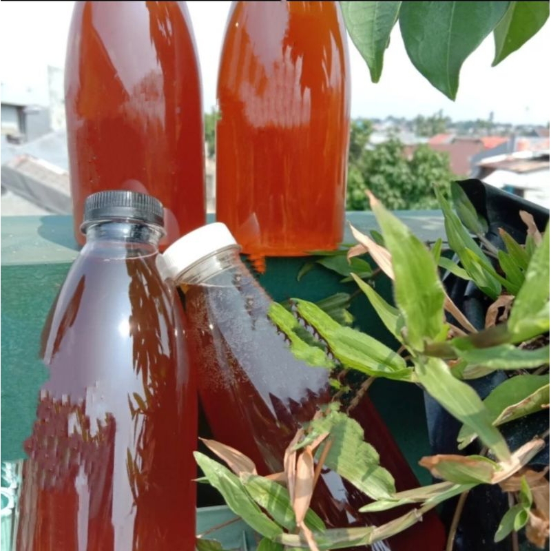 

KOMBUCHA 1 LITER