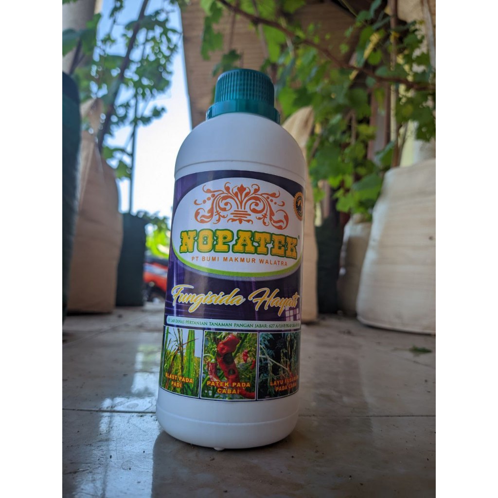 Nopatek fungisida hayati obat Mengatasi Penyakit Patek Tanaman Cabe