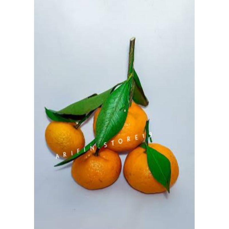 

Jeruk Shantang Daun RRC /Jeruk Shantang /Manis /Kg