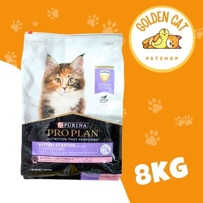 PROPLAN KITTEN STARTER 8 KG EKSPEDISI