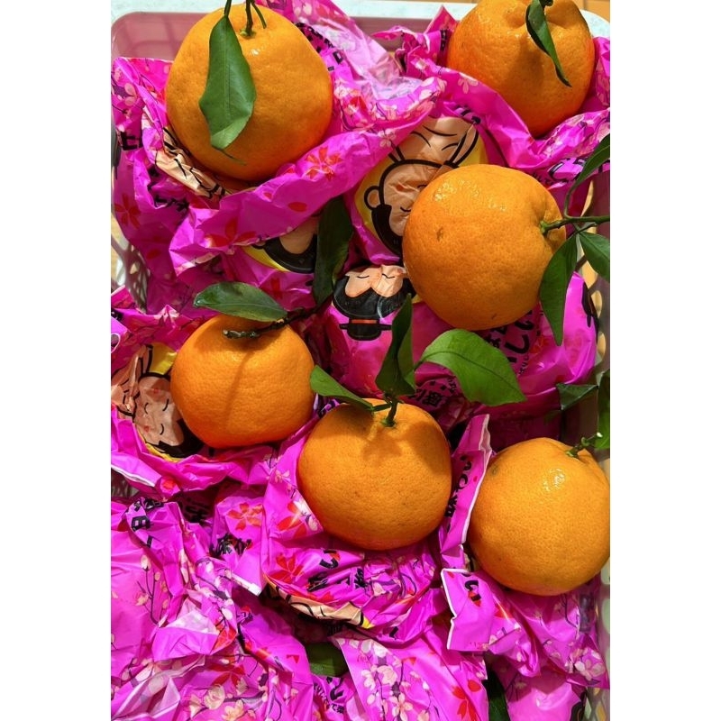 

Buah jeruk dekopon chunjian super sweet gift keranjang 6 kg