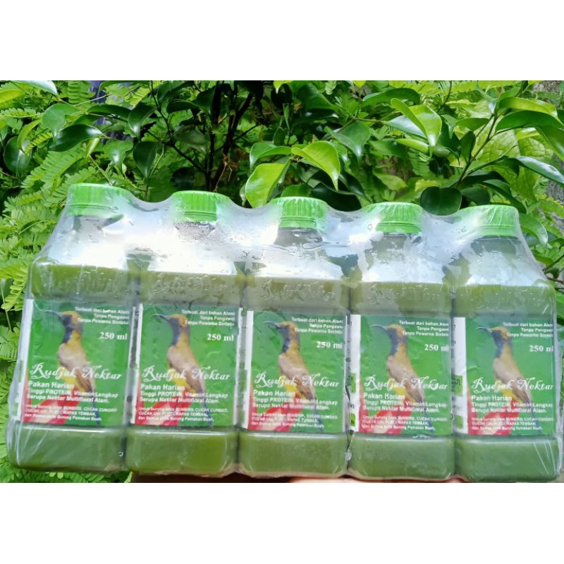 RUDJAK NEKTAR 250Ml 100% Original