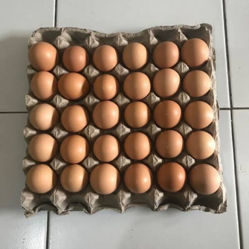 

Telur ayam negeri fresh 30 butir