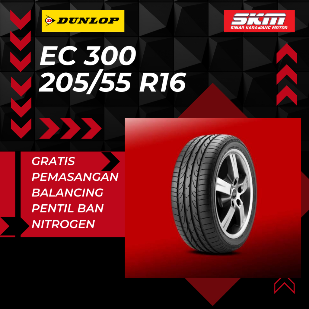 BAN MOBIL DUNLOP ENASAVE EC300 205/55 R16