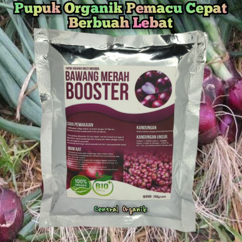 Pupuk Organik Pelebat Bawang Merah Pupuk Khusus Tanaman Bawang Pupuk Booster Bawang Pupuk Penyubur d