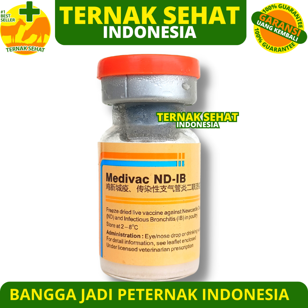 VAKSIN MEDIVAC ND IB DOSIS 500 EKOR + PELARUT MEDIVAC MEDION - Vaksin Ayam Tetelo dan Infeksius Bron