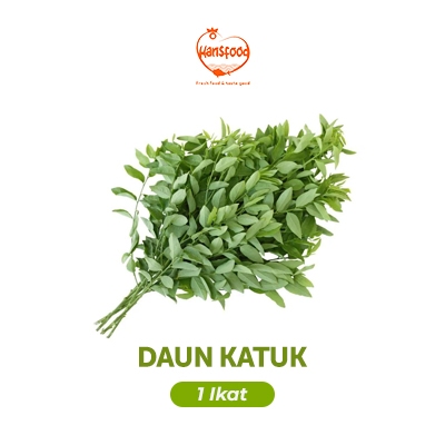 

Daun Katuk per ikat Segar