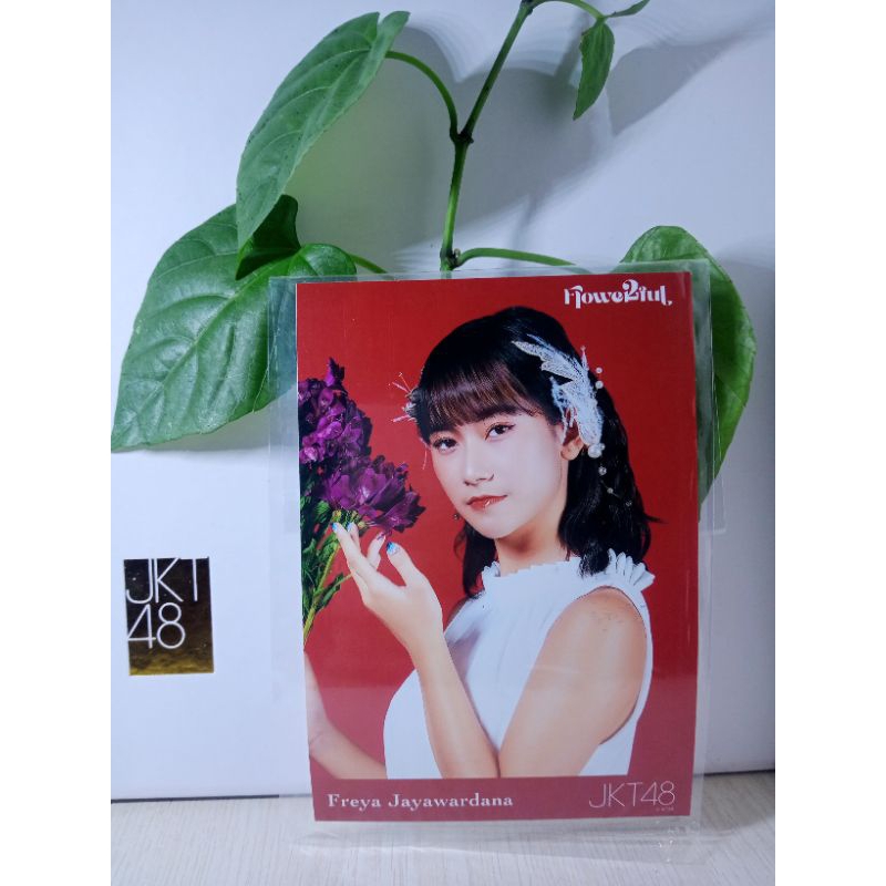photopack JKT48 flowerfull FREYA