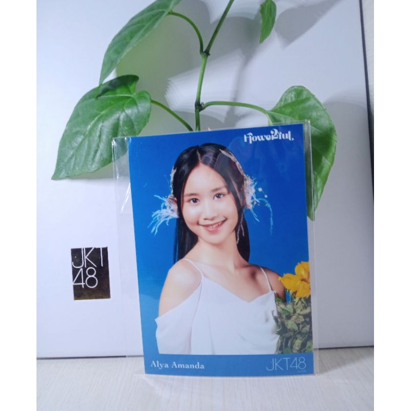 photopack JKT48 flowerfull ALYA