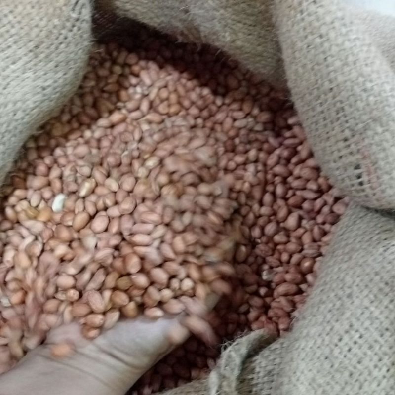 

kacang tanah 250gr sampe 1kg