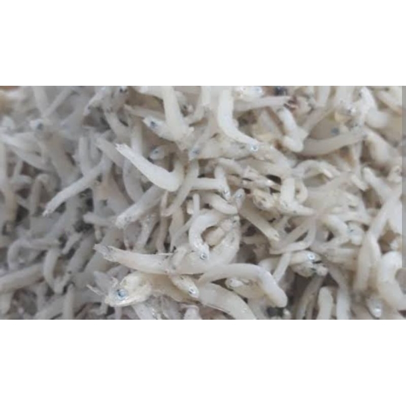 

Teri Nasi Kasar / Teri Toge Khas Medan 500 gr