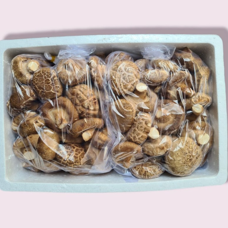 

Jamur Shitake Kualitas Bagus Terjamin