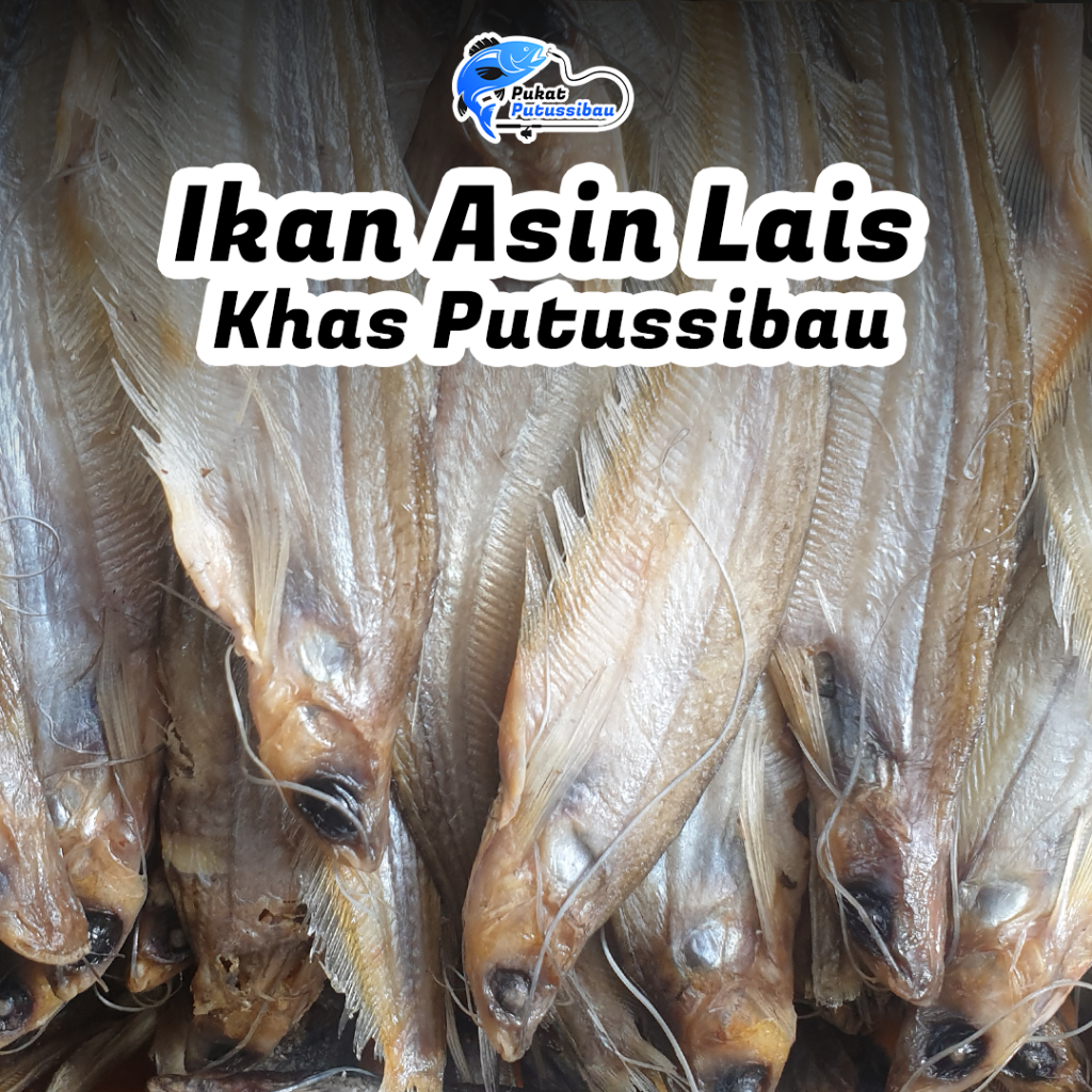 

Ikan Asin Lais Ukuran Besar Khas Sungai Kalimantan Barat Kapuas Hulu Putussibau (100 gram)