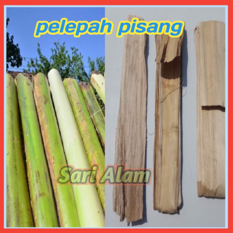 

pelepah pisang kering buat karya seni dan tali