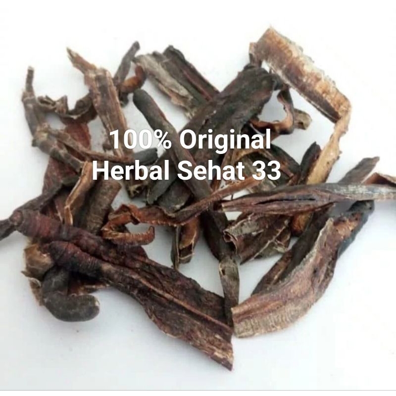 

cacing tanah kering obat tipes 18g original