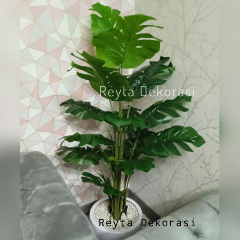 monstera jumbo import latex premium tinggi 170cm - pohon monstera besar import - pohon hias artifici