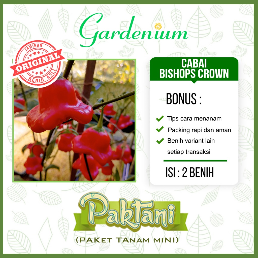 2 Benih Cabai Bishop's Crown Tanaman Cabe Hias Ornamental Paktani