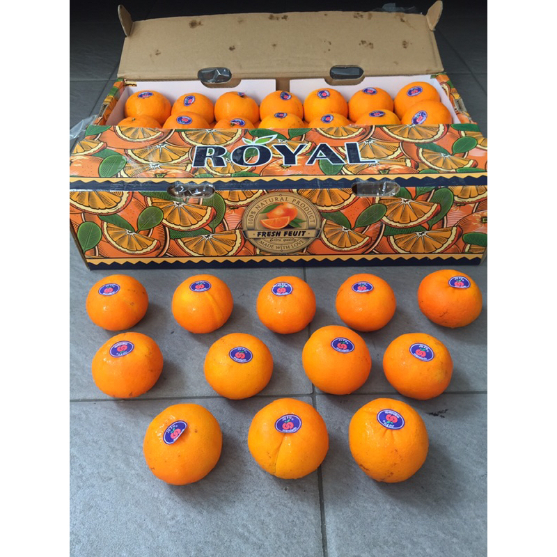 

Jeruk Wogan 1 Dus (9 KG) Fresh Import