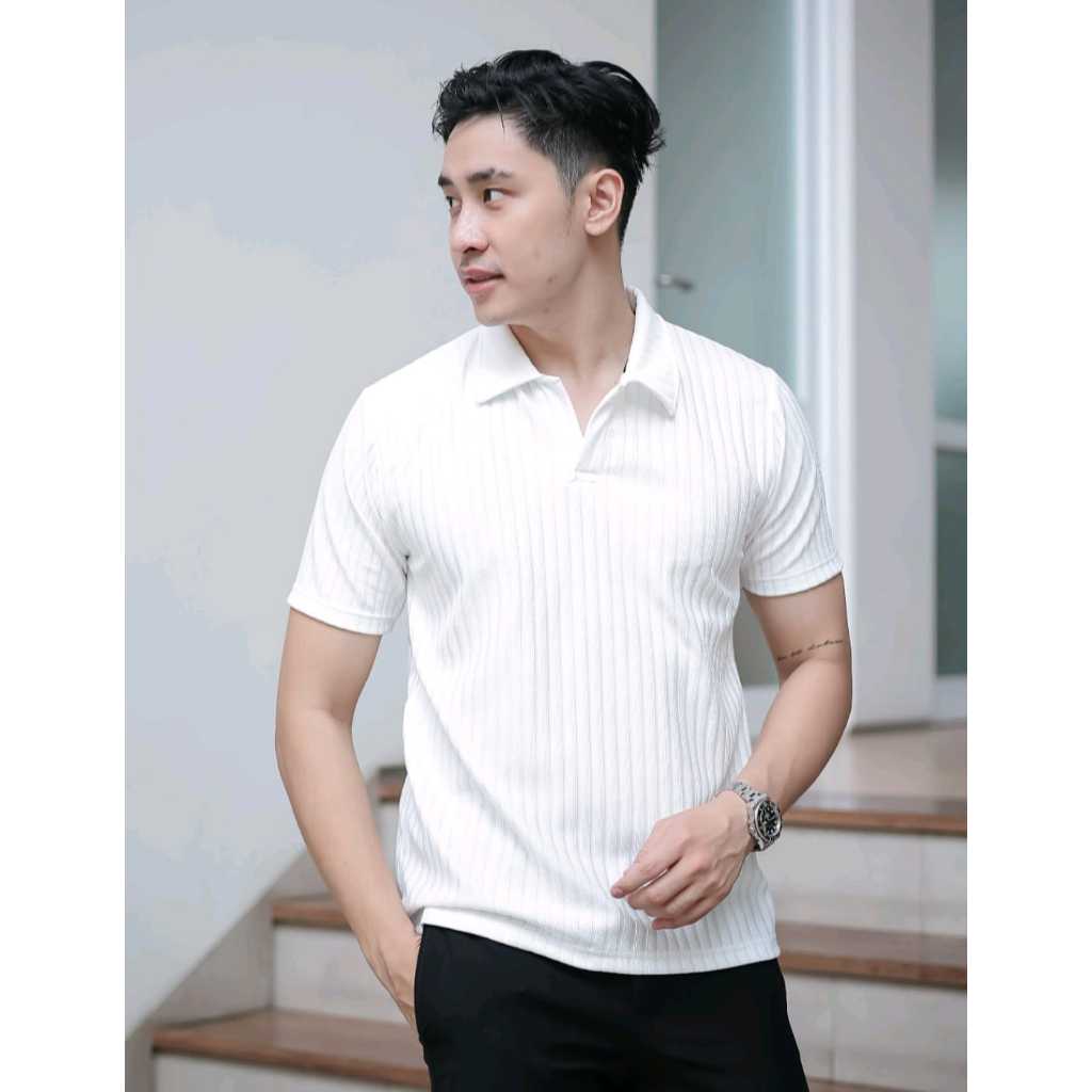 Polo Shirt Pria / Kaos Polo Knit Kerah / Baju Polo Berkerah Motif Pria Premium.