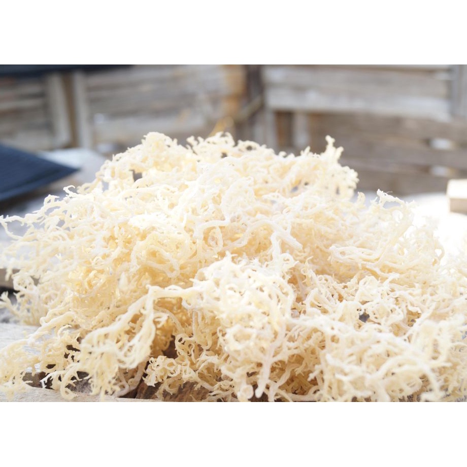 

ui Readystock Rumput Laut Kering Putih 1kg Spinosum Cottoni Original Premium I82