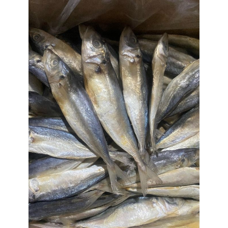 

IKAN ASIN PEDA/PEDO PUTIH 1KG IKAN ASIN BENGKOL IKAN ASIN LAYANG