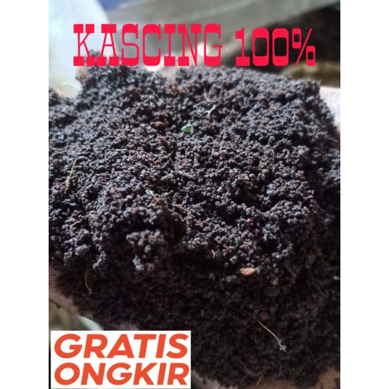 Pupuk Organik Kascing / Kotoran Cacing Pupuk Organik