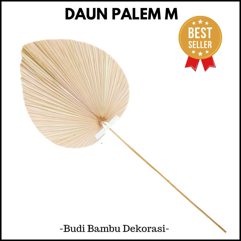 DAUN PALEM KERING UKUR M / HIASAN DAUN PALEM / RUSTIC MURAH