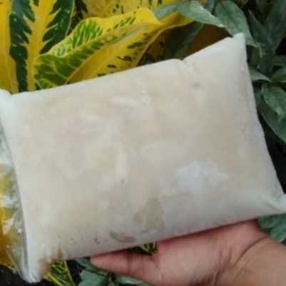 

Buah Sirsak Frozen ( 100% Full Daging Sirsak Tanpa Campuran ) 1kg