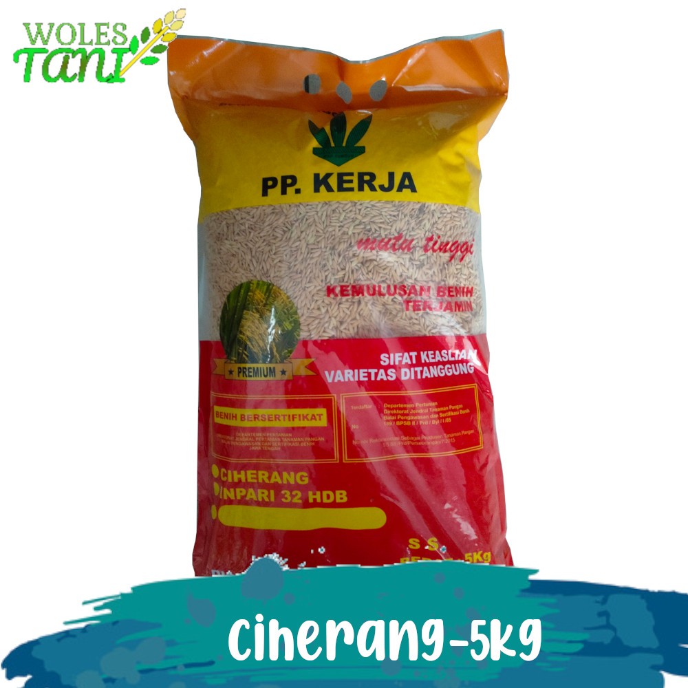 Benih Padi Ciherang Premium Pak Tani 5 Kg