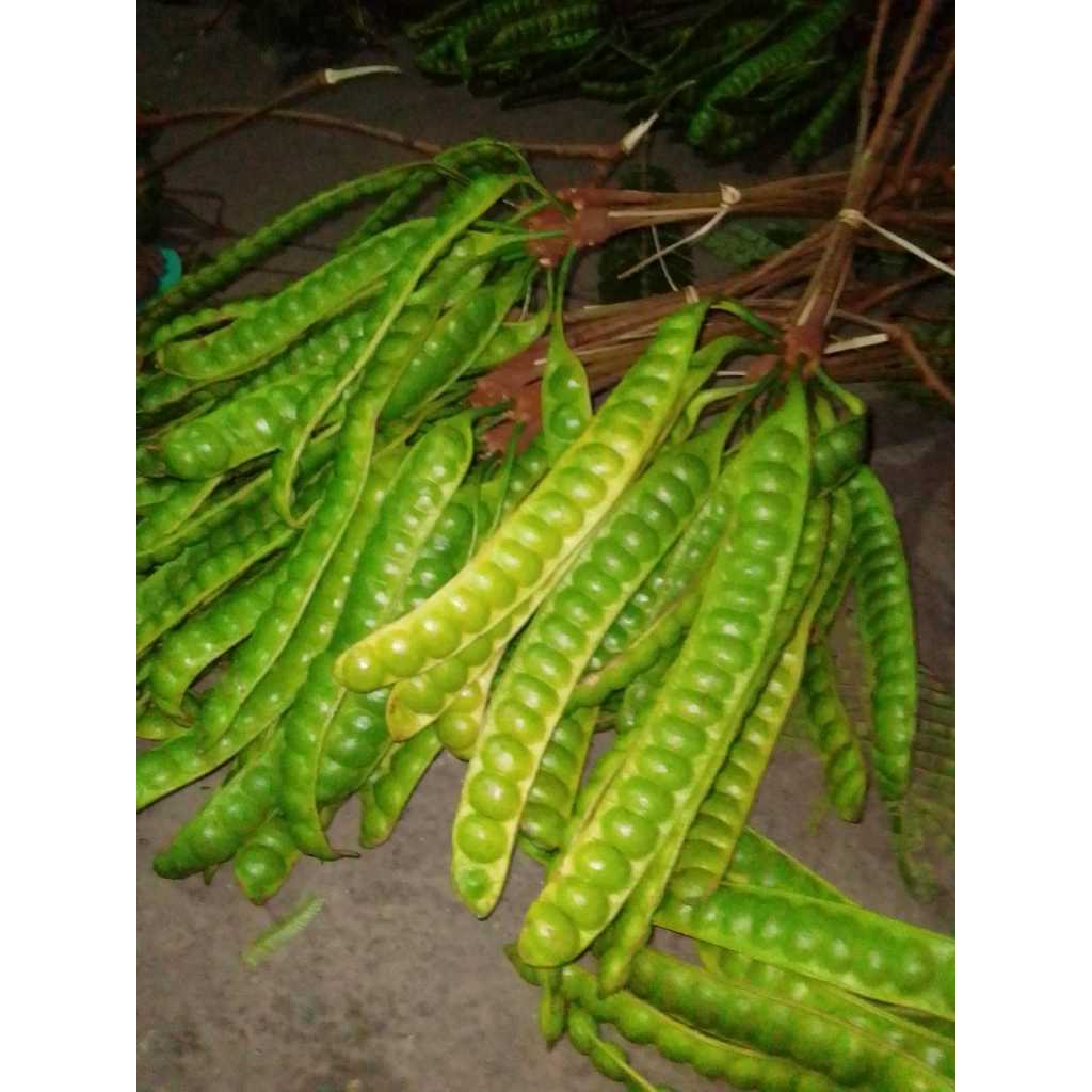

Pete 1/2 ikat (10 keris)