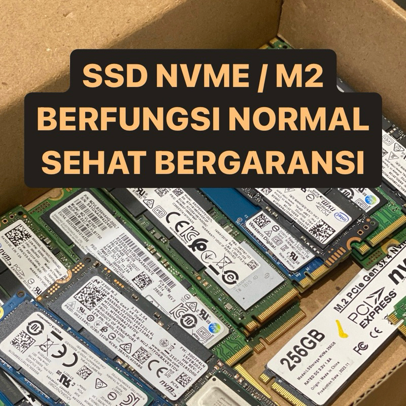 SSD M2 DAN NVME 128GB 256GB  MURAH