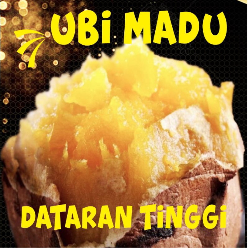 

ubi madu/cilembu/mentah/ubi madu cilembu segar. Jual per kg