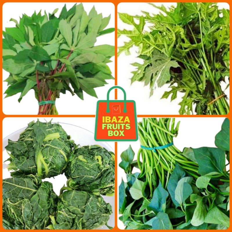 

Sayur Daun Pepaya, Daun Singkong, Daun Ubi Jalar, Daun Pepaya Rebus, Sayur Segar Ibaza fruitsBOX