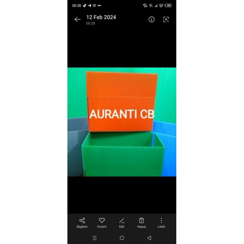 

Kardus Auranti Cb China size -+9 cm