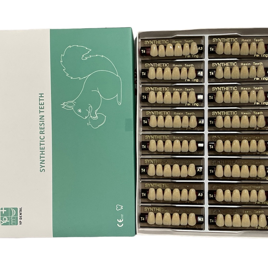 Terbatas 1 Kotak Gigi Palsu Akrilik Acrylic YP SYNTHETIC DEPAN Anterior ATAS Anasir setara Muldent