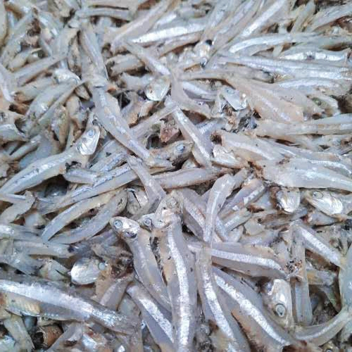 

Ikan Teri Kering Asin 100gr - Lapak Pesanan