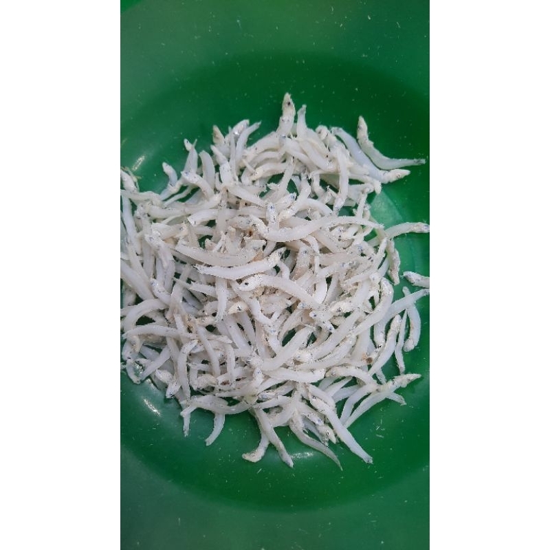 

ikan teri toge super
