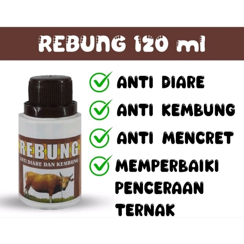 Rebung 120 ml Obat Mencret Diare Sapi Kembung Kambing Ampuh Memperbaiki Pencernaan