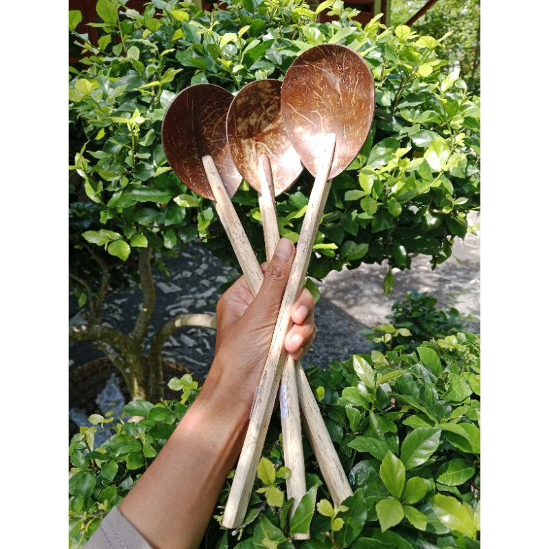 irus sayur batok kelapa,sendok sayur batok kelapa