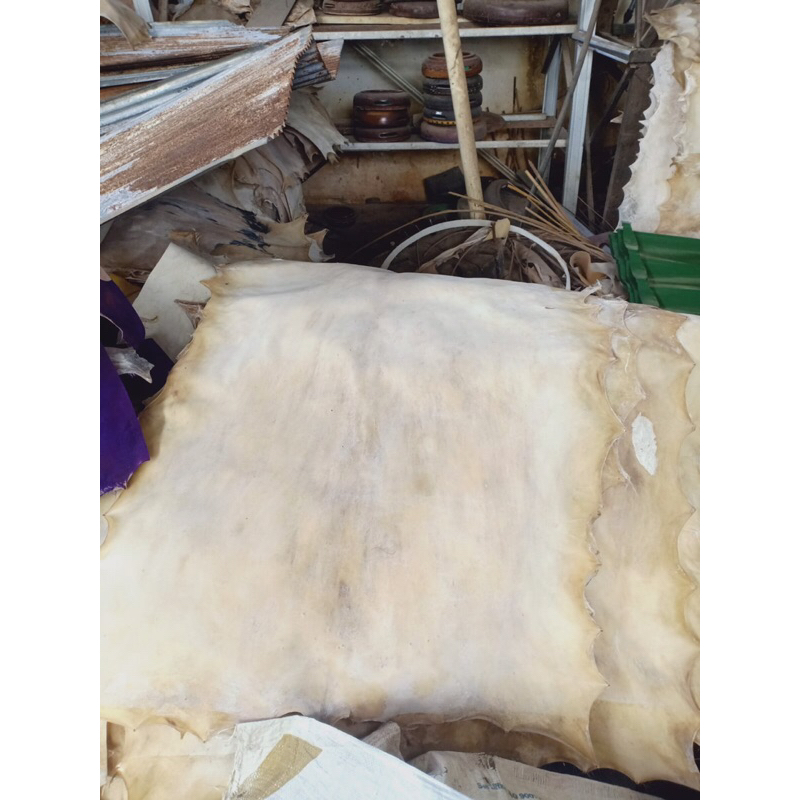 Kulit punggung Kambing Lembaran tebal