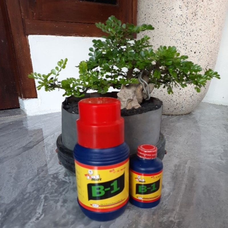 VITAMIN B1 THAILAND ORIGINAL 100ML/500ML