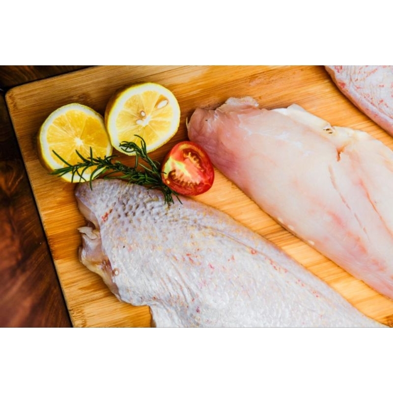 

Red Snapper / Kakap Merah Import Fillet Fresh Segar Seabiru