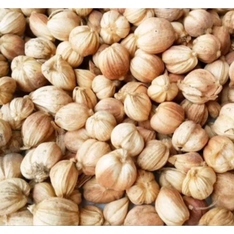 

Kapulaga jawa Kering 100gram