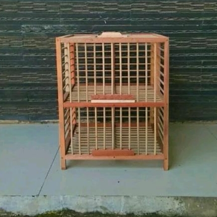 DONGDANG MERPATI LEPAS PINTU 2 MURAH