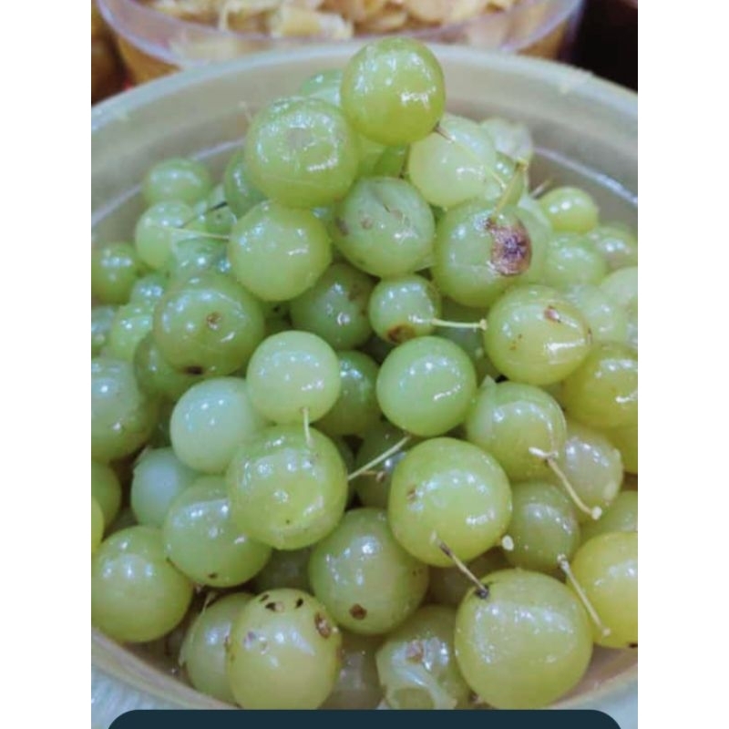 

Manisan Anggur Bogor Homemade PREMIUM ( 500Gram )