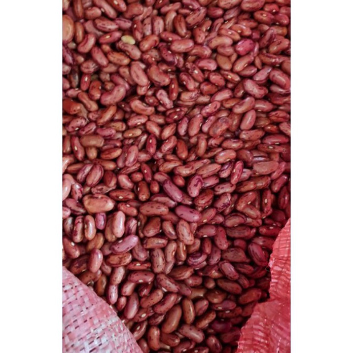 

Terkini Kacang Merah Kacang Jogo 1 KG Ukuran Besar Premium Dijamin Fresh