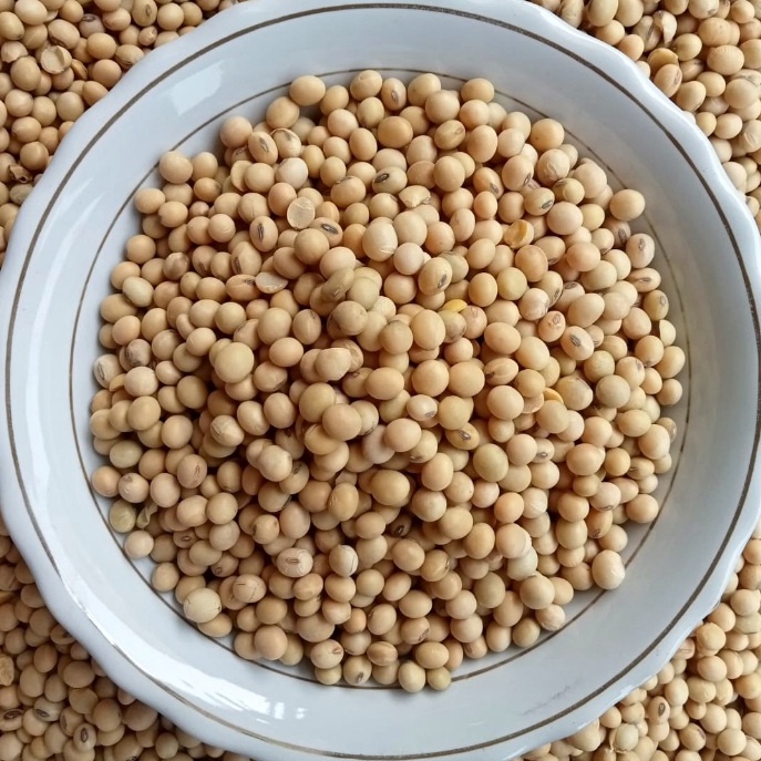 

FG2 Kacang Kedelai Import 1Kg