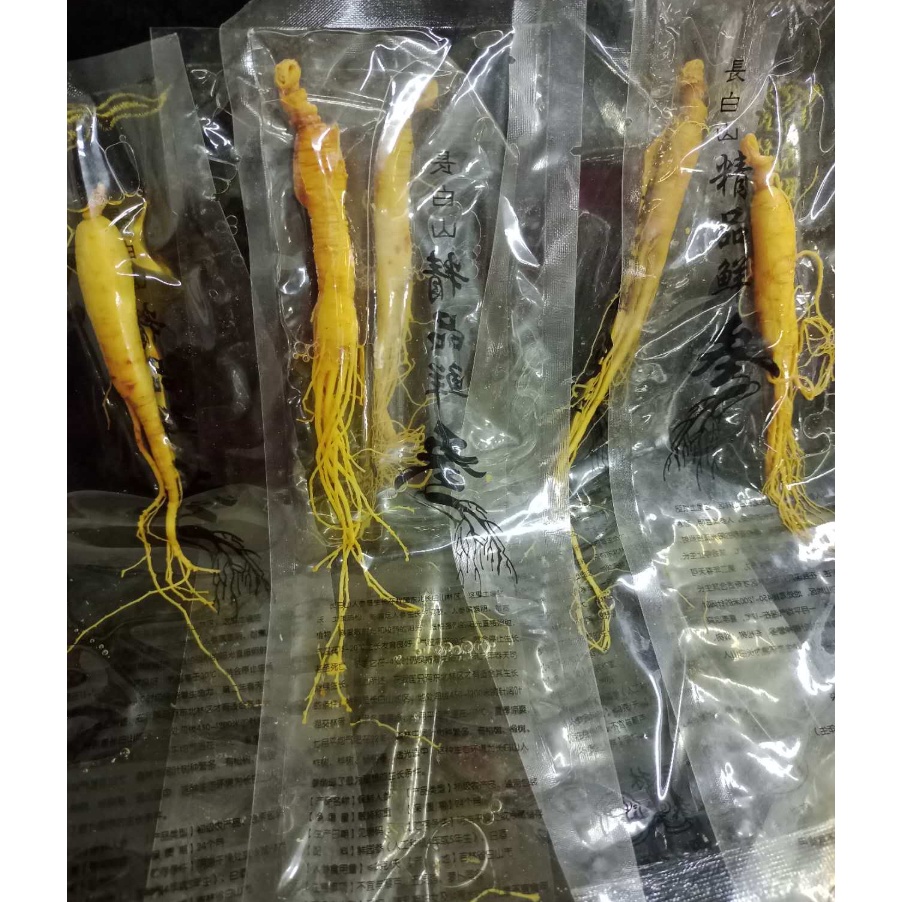 

Promo FRESH GINSENG GINSENG BASAH GINSENG SEGAR KECIL